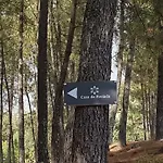 Casa Da Prelada *