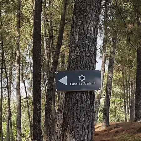 Casa Da Prelada *