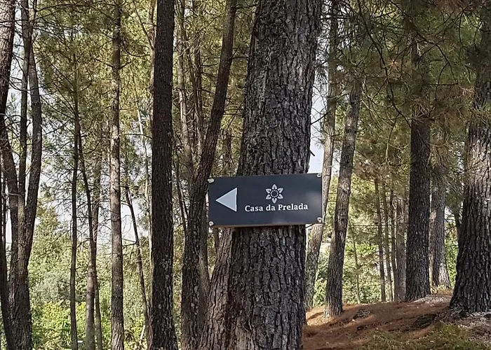 Casa Da Prelada *